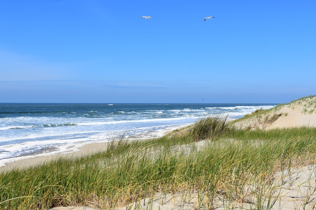 Texelphotos.nl - Foto afdruk op canvas - Texel duinpad - Noordzee - Duin - Strand - Zee - Wolkenlucht - Golven - Canvas doek – Wanddecoratie - Canvas schilderij – Natuur - Landschap - 35 x 40 cm