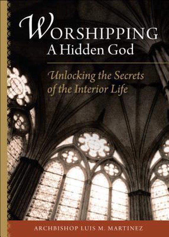 Boek cover Worshipping a Hidden God van Luiz M Martinez (Paperback)