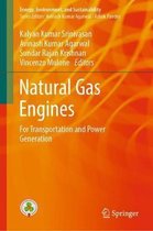 Omslag Natural Gas Engines