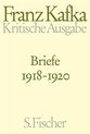 Briefe  4. 1918 - 1920