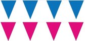 Roze/Blauwe feest punt vlaggetjes pakket - 200 meter - slingers/ vlaggenlijn