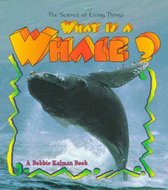 What Is a Whale?