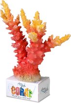 Ebi Decor Koraal L 20.5x15.5x7 cm Oranje