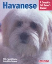 Havanese