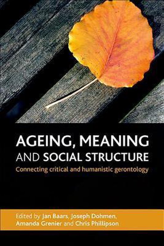 Ageing, Meaning And Social Structure - cover