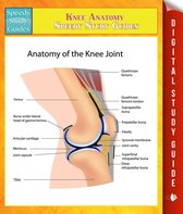 Knee Anatomy Speedy Study Guides