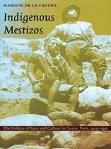 Latin America otherwise - Indigenous Mestizos
