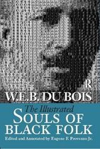 Illustrated Souls of Black Folk