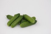 Geënte snack komkommer (8 planten)