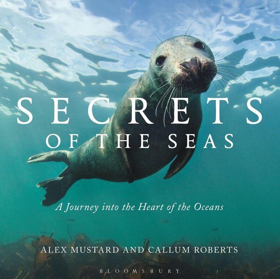 Secrets of the Seas - cover