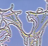 Transiency