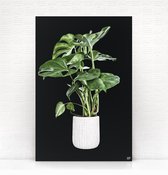 HIP ORGNL Schilderij Holy Leaf Zwart - 60x90cm - wanddecoratie - plant - natuur