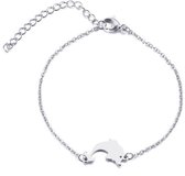 RVS dolfijn armband 18 cm + 4 | 316L | bff
