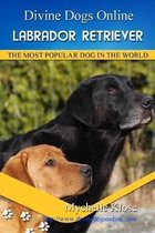 Labrador Retrievers