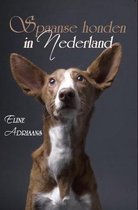 Spaanse honden in Nederland