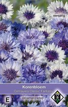 Van Hemert & Co - Korenbloem Classic Fantastic (Centaurea cyanus)