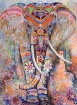 Diamond painting voor volwassenen- Olifant - India - kleurrijk