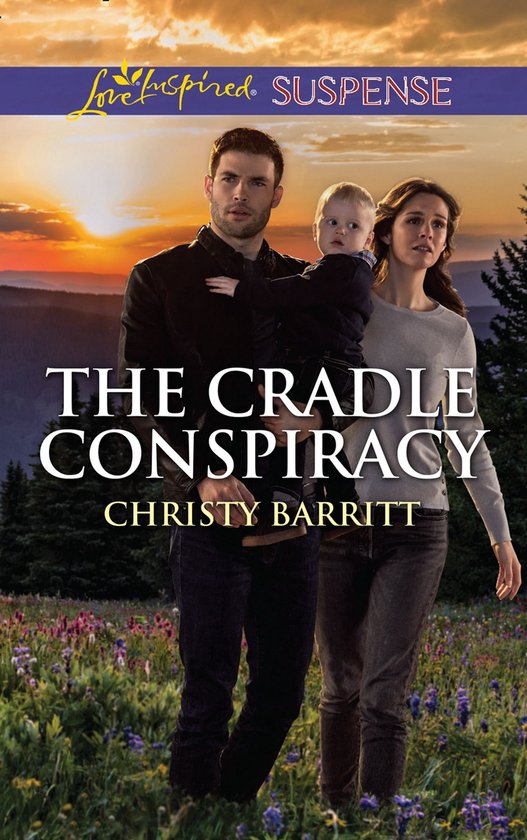 The Baby Protectors - The Cradle Conspiracy (Mills & Boon Lo ... - cover