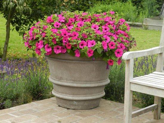 Teramico Bloempot terracotta plantenbak Liscio Toscana limoni Toscana - Italiaans handwerk - 25 cm - 40 cm absoluut vorstbestendig Italiaans terracotta (30 cm, Limoni Toscana