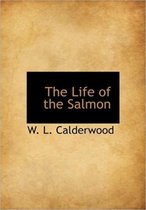 The Life of the Salmon