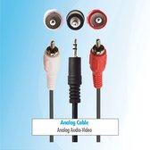 Budget 1.5 meter 3,5 mm jack naar tulp RCA aux audio kabel