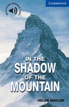 In The Shadow Of The Mountain Lvl 5