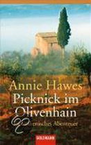 Picknick im Olivenhain