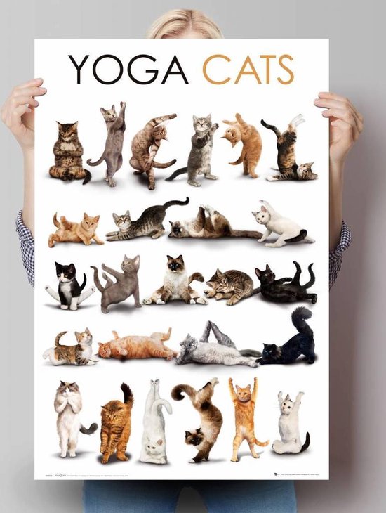 Reinders Poster Yoga - cats - Poster - 61 × 91,5 cm - no. 20734 | bol.com