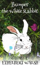 Twilight Animal Series - Bumper the White Rabbit
