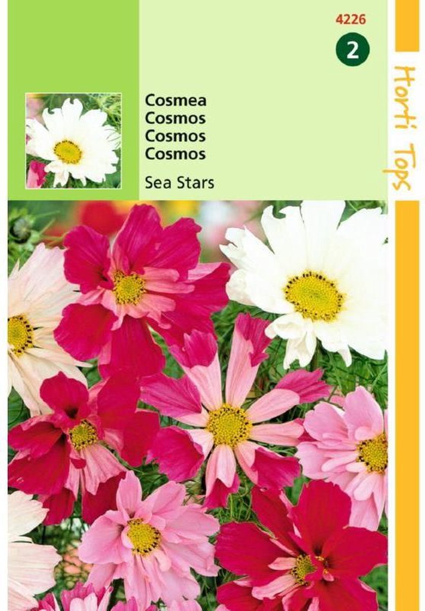 Hortitops Cosmos bipinnatus Sea Stars Gemengd