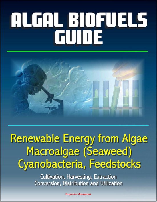 Algal Biofuels Guide: Renewable Energy from Algae, Macroalgae (Seaweed ...