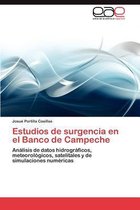 Estudios de surgencia en el Banco de Campeche