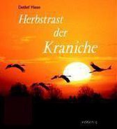 Herbstrast der Kraniche