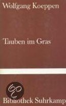 Tauben Im Gras