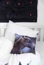 Baby Moose van By Nord
