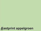 Kopieerpapier Fastprint A3 80gr appelgroen 500vel