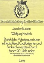 Betriebliche Arbeiterausschuesse in Deutschland, Grossbritannien Und Frankreich Im Spaeten 19. Und Fruehen 20. Jahrhundert