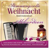 Stimmungsvolle Weihnacht - Akkordeon