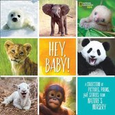 Hey, Baby! (Stories & Poems)