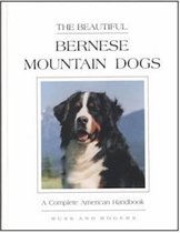 The Beautiful Bernese Mountain Dog