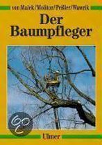 Der Baumpfleger