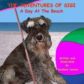 A Day at the Beach