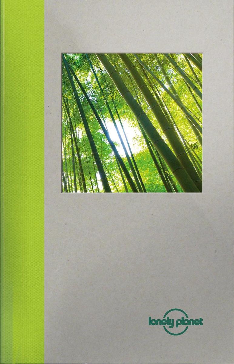 LP Notebook Bamboo (green) small