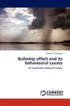 Bullwhip effect and its behavioural causes