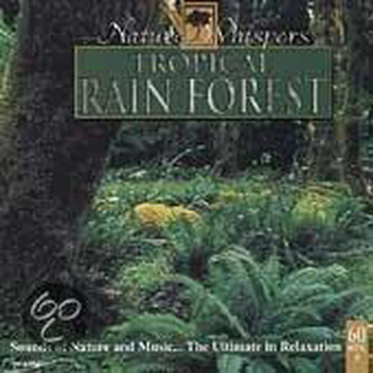 Rainforest