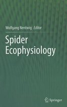 Spider Ecophysiology