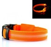 LED Halsband ORANJE - L