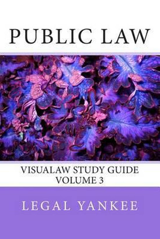 Visualaw Study Guides Public Law, Legal Yankee 9781500573904