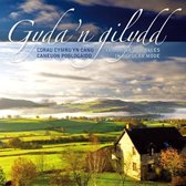 Various Artists - Gyda'n Gilydd. Choirs Of Wales In P (CD)