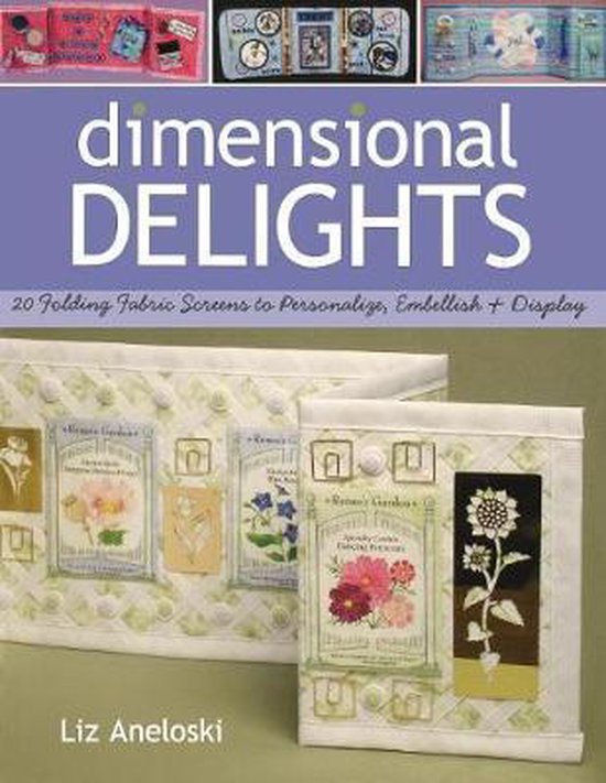 Dimensional Delights - cover